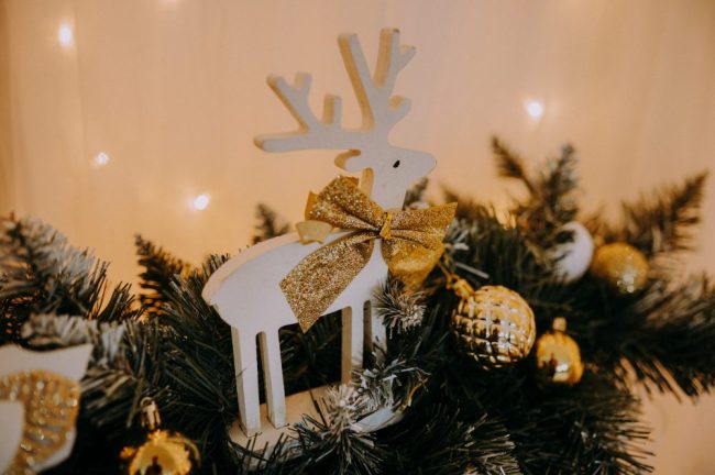 Sesja Świąteczna Szczecin 11