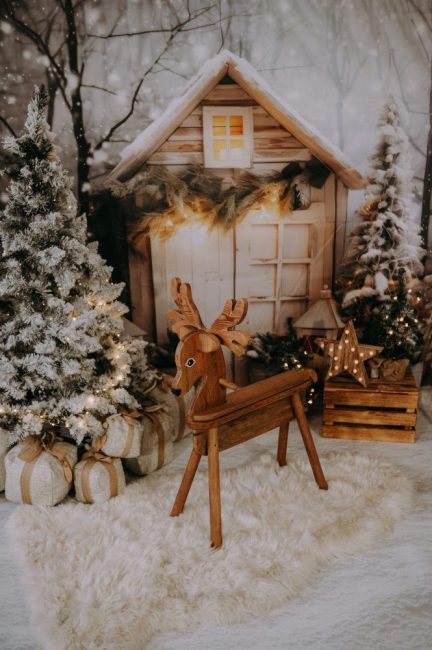 Sesja Świąteczna Szczecin 14