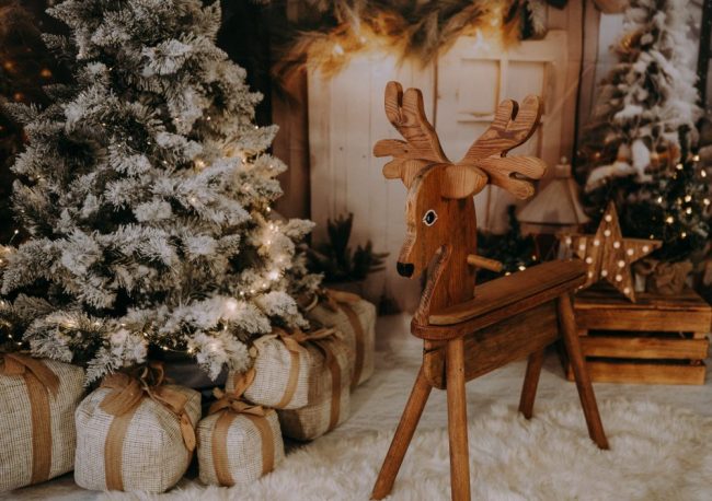 Sesja Świąteczna Szczecin 15